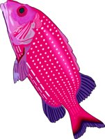SQURFISH.WMF