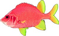 SPSQFISH.WMF