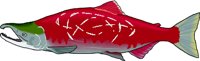 SOCKEYE.WMF
