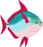 OPAH.WMF