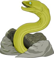 MORAY.WMF
