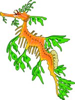 LEAFY.WMF