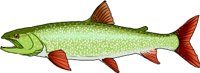 LAKTROUT.WMF