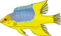HOGFISH.WMF