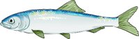 HERRING.WMF