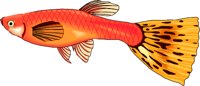 GUPPIE.WMF