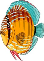 DISCUS.WMF