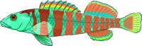 DARTER.WMF