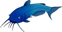 CATFISH.WMF