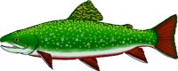 BRTROUT.WMF