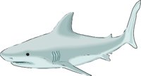 B-SHARK.WMF