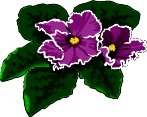 VIOLET.WMF