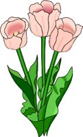 TULIP.WMF