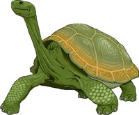 TORTOISE.WMF