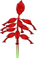 SALVIA.WMF