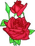 ROSES3.WMF