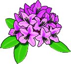 RHODODEN.WMF