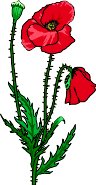 REDPOPPY.WMF