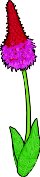 PRIMULA.WMF