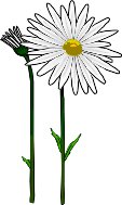OXEYEDAL.WMF