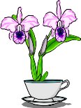 ORCHID.WMF