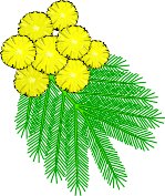MIMOSA.WMF