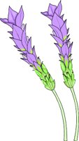 LAVENDER.WMF
