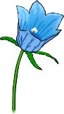 HAREBELL.WMF