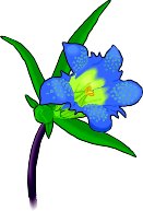 GENTIAN.WMF