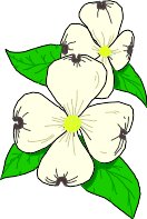 DOGWOOD.WMF