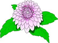DAHLIA.WMF