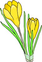 CROCUS.WMF