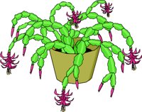 CRCACTUS.WMF