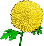 CHRYSANT.WMF