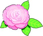 CAMELIA.WMF
