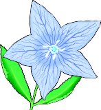 BFLOWER.WMF