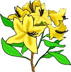 AZALEA.WMF