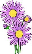 ASTER.WMF