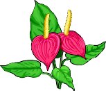ANTHUR.WMF
