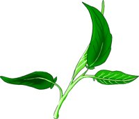 SAGE.WMF