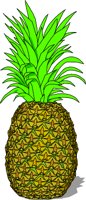 PINEAPPL.WMF