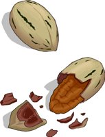 PECANS.WMF