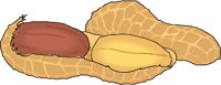 PEANUT.WMF