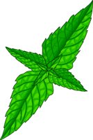 MINT.WMF