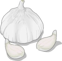 GARLIC.WMF