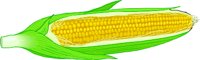 CORNCOB.WMF