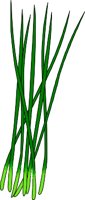 CHIVES.WMF