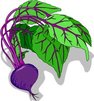 BEET.WMF
