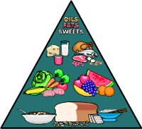 FOODPYRA.WMF
