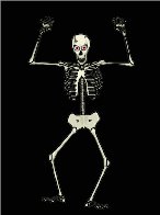 SKELETON.WMF
